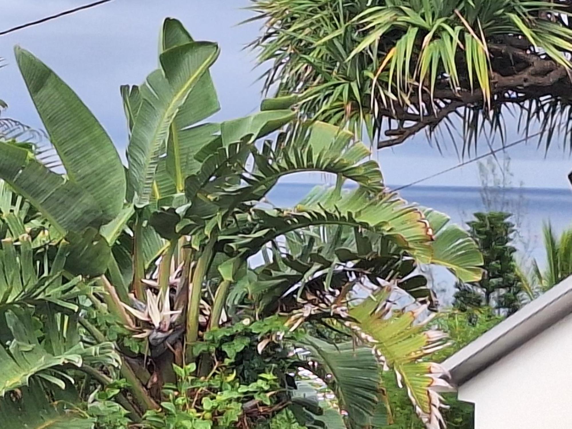 Vila L'Etoile Du Piton Saint-Joseph Exteriér fotografie